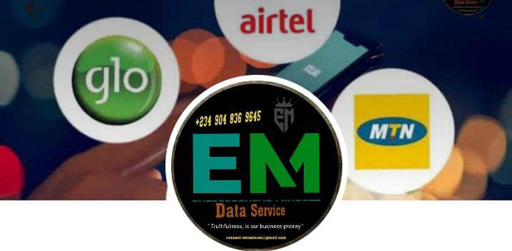 Em-Data Service Logo